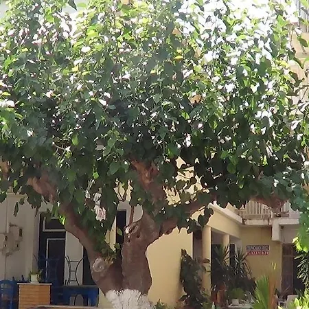 Mouroukis * Loutra Edipsou (Evia)